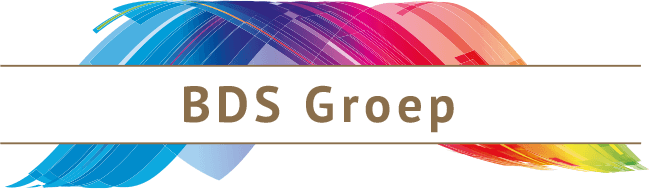 logo BDS Group